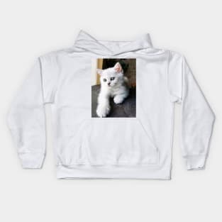 My Chinchilla Baby Kids Hoodie